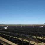 94,5 MW PV PLANT IN SOUTH AFRICA