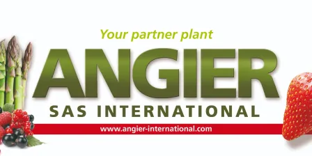 ANGIER SAS INTERNATIONAL
