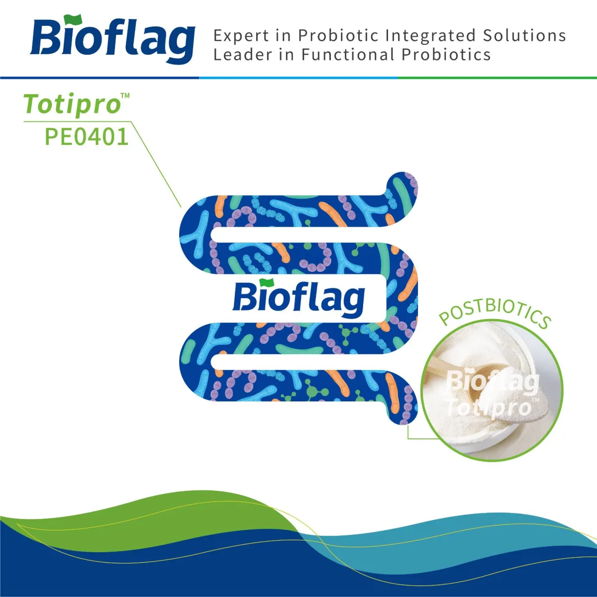 Clinically proven probiotic blends and Postbioics