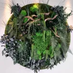 Mur végétal stabilisé