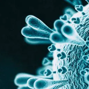 A biomass monitoring PAT tool for viral vector production processes
