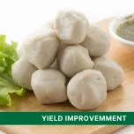 Native Tapioca Starch