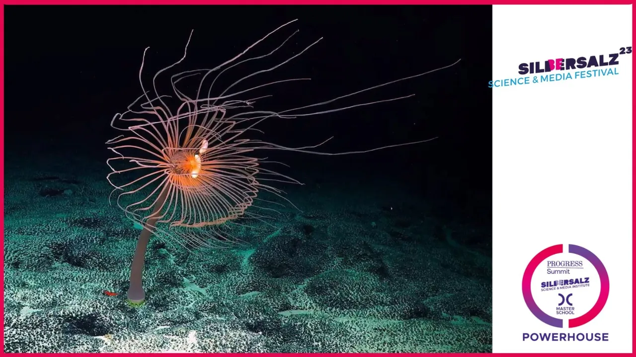 Film Premiere Deep Rising. Directed by Matthieu Rytz, USA, 93 min, 2022