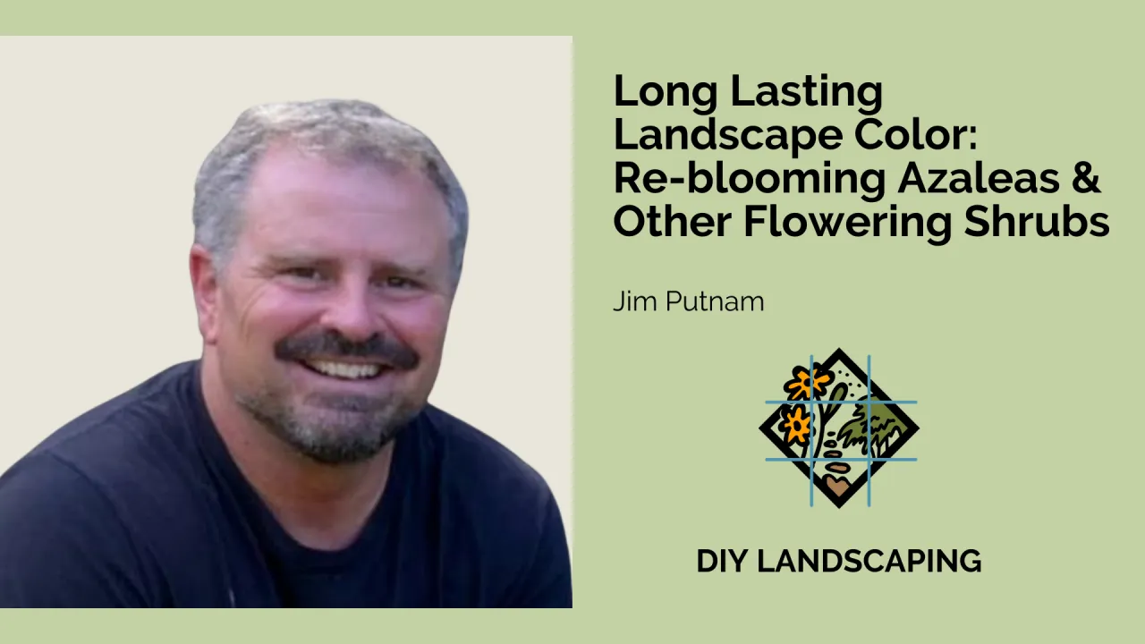 Long Lasting Landscape Color: Re-blooming Azaleas & Other Flowering Shrubs with Jim Putnam