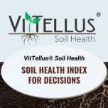 Soil Health Tests: VitTellus® Soil Health and the 🆕 VitTellus Bio℠ test that quantifies beneficial soil microbes