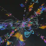 Everything from Here to Infinity