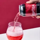 HopTea: The Mile-High-Biscus One