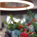 Alberta Family, perfection has a circular shape