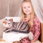 Vibrating Weighted Lap Buddy