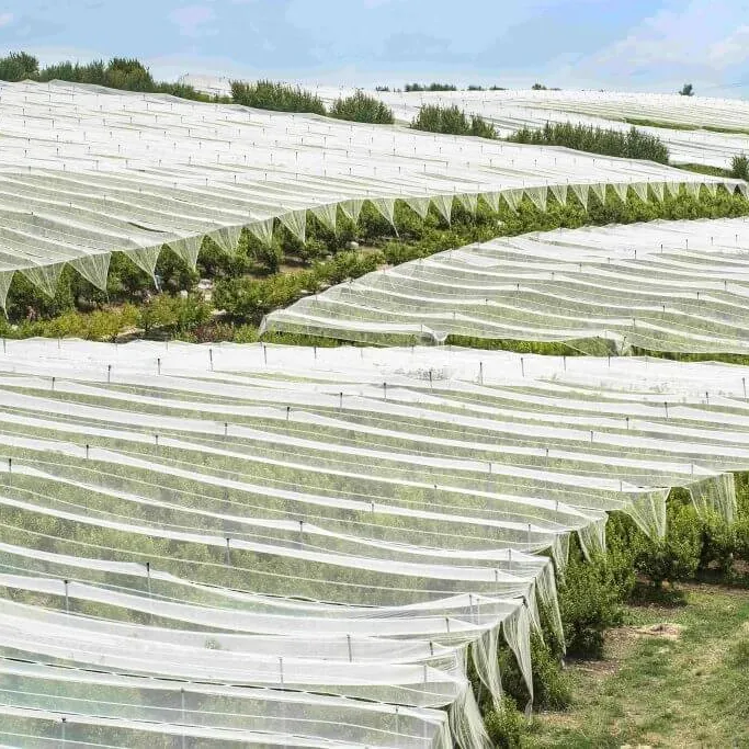 UV Treated Non Woven