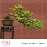 The Mosaic Specialists - Ceramic Mosaic