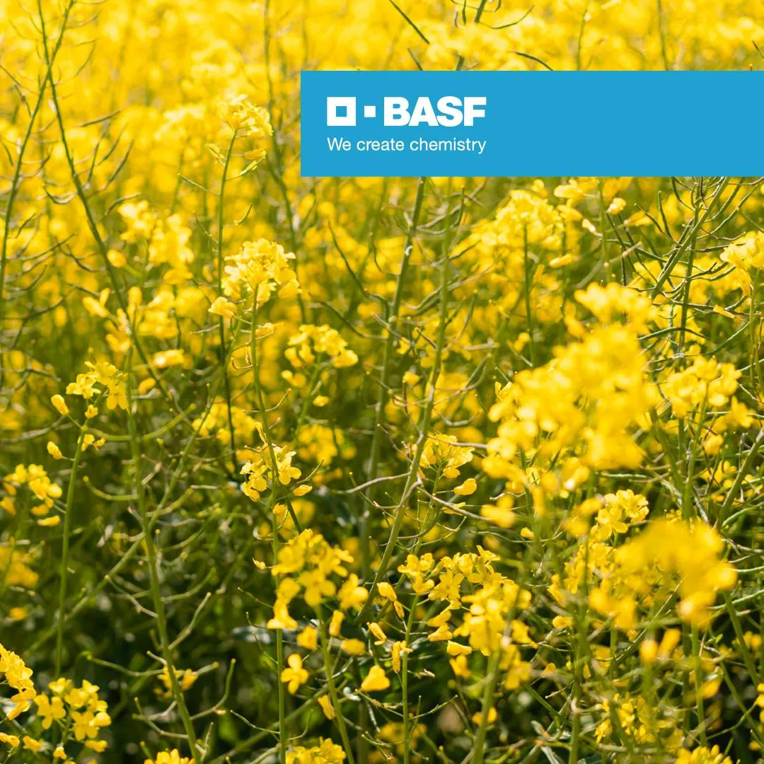 Team Leader Plant Cultivation