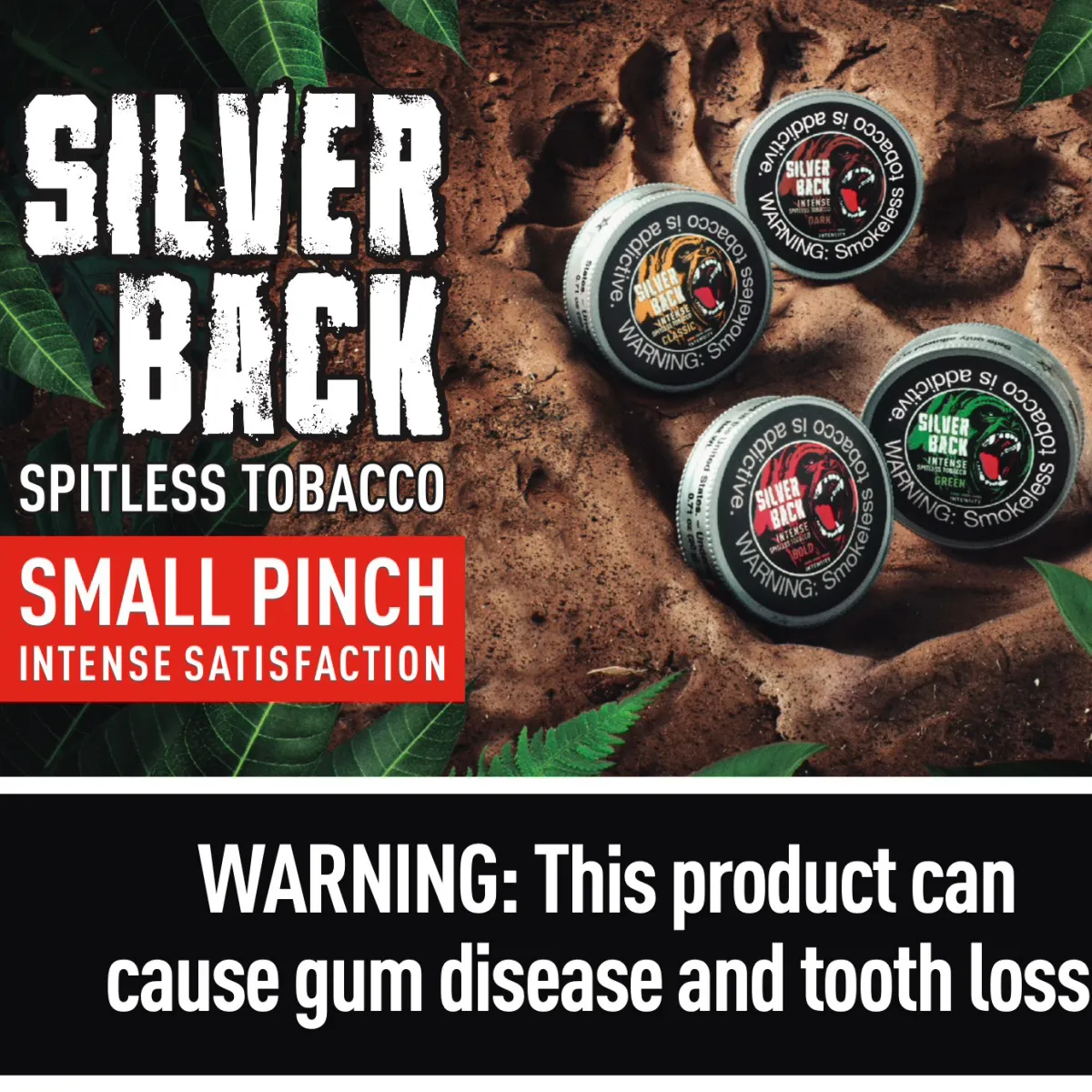 SILVERBACK