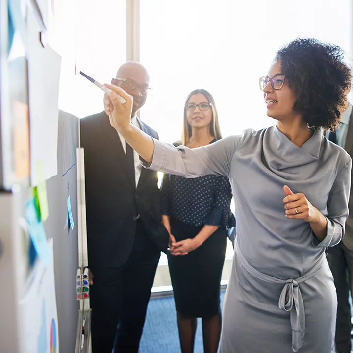 Program & Project Management Solutions