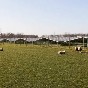 IJsseldijk solar farm generating electricity