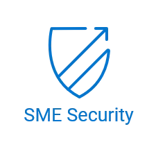 Security Solutions for SMEs