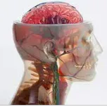 IMPRIMANTES 3D Stratasys - Polyjet J3/j5