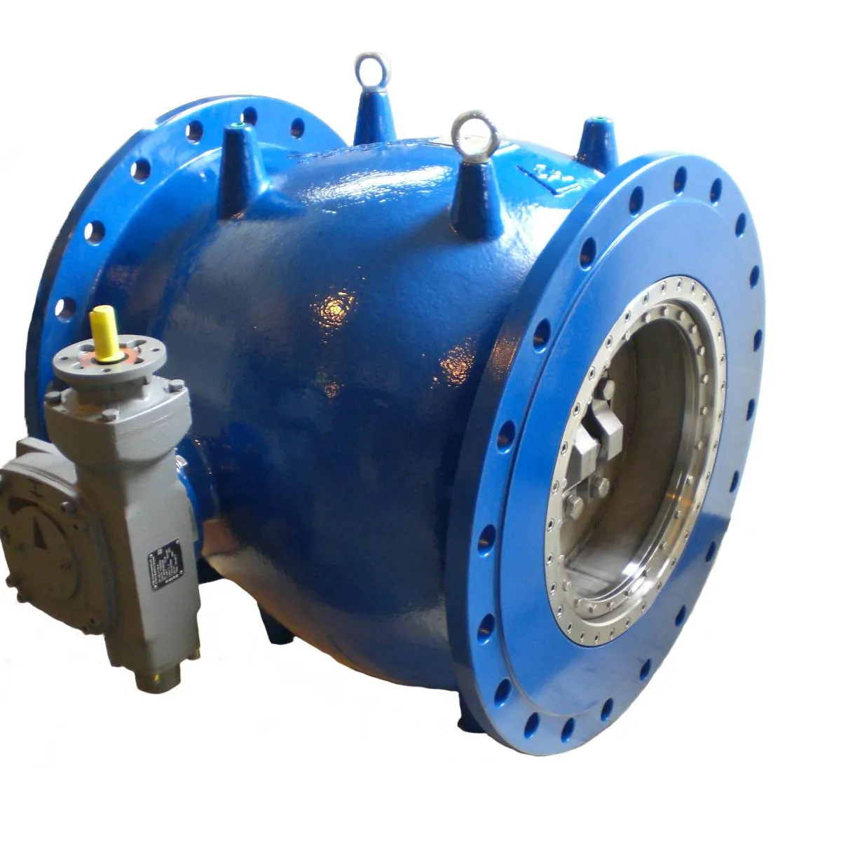 Plunger/needle valves PN 10-64