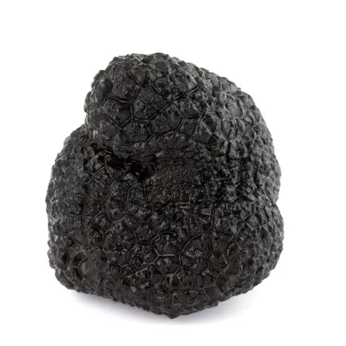 Whole Black Truffle (Preserved Truffle)