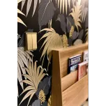 Medical Practice, Cannes