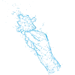 CASE STUDY: COVID 19 Policies Review