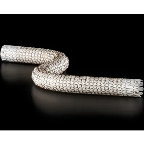 GORE® VIABAHN® Endoprosthesis with PROPATEN Bioactive Surface*