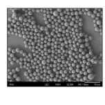 Spherical type silica particle for analytical column