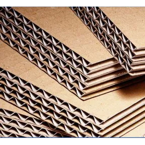 Ficus Pax AAA cartons