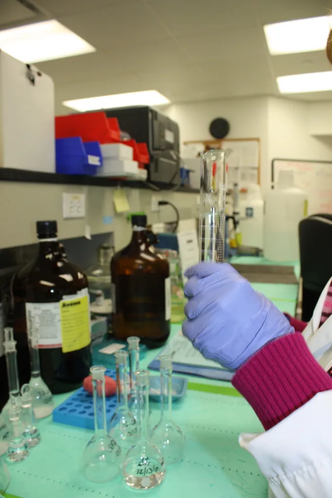 ANDA and NDA Technical Support