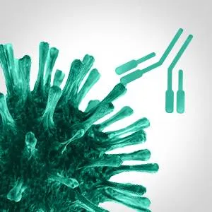 SARS-CoV-2 Specific and Neutralizing Antibodies