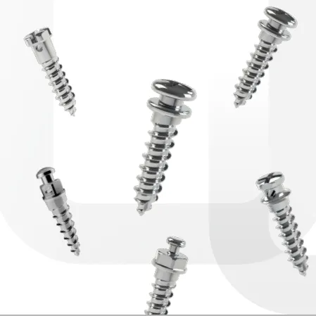 Dual Top Anchor System