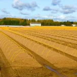 Arceaux fibres gainés