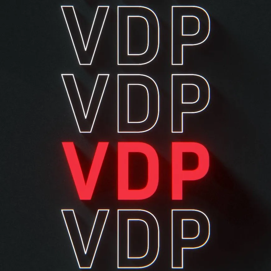 VDP (Vulnerability Disclosure Policy)