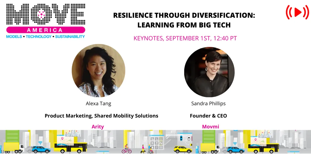Resilience through diversification: learning from big tech