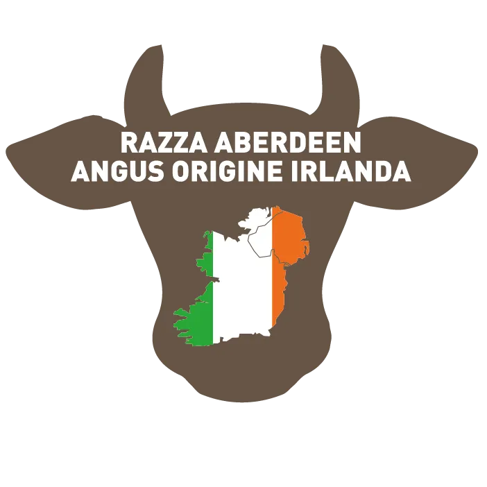 HAMBURGER OF IRISH ABERDEEN ANGUS BREED