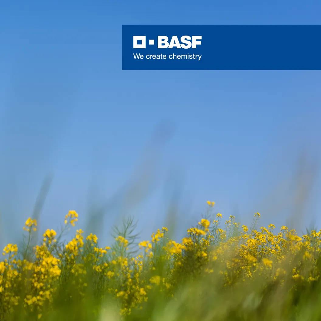 Junior Group Leader Genome Engineering