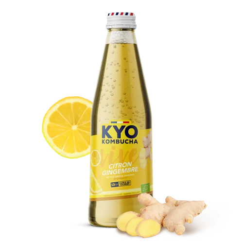 KYO Kombucha VIVE (unpasteurized) | Lemon Ginger