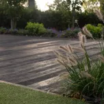 Kew Royal Botanical Gardens