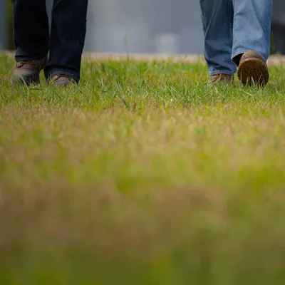 Knowledge - Ideas, advice and resources to help you run a better business.