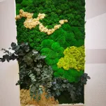 Tableau végétal stabilisé