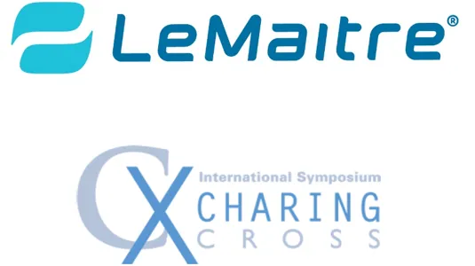 Carotid endarterectomy technique with anatomical models