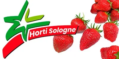 HORTI SOLOGNE