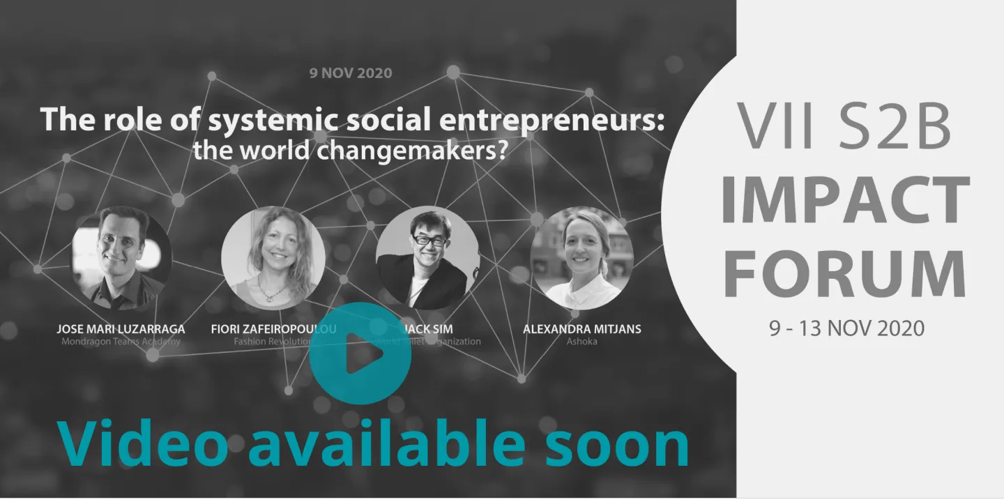 The Role of Systemic Social Entrepreneurs: The World Changemakers?