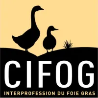 CIFOG