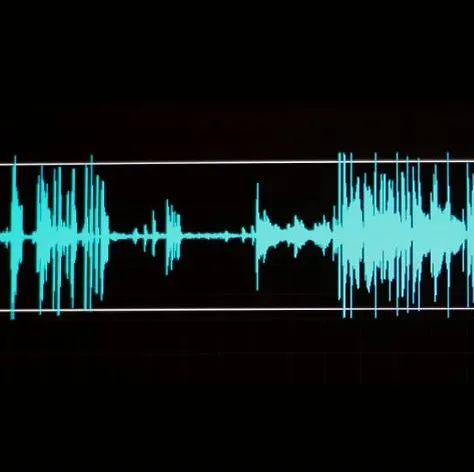 Embedded ASR (Automatic Speech Recognition) SDK