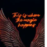 SENIOR ART DIRECTOR (m/w/d)