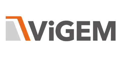 ViGEM