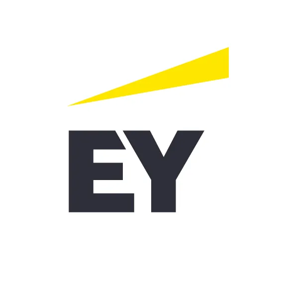 Consultores/as Funcionales SAP CRM/SD