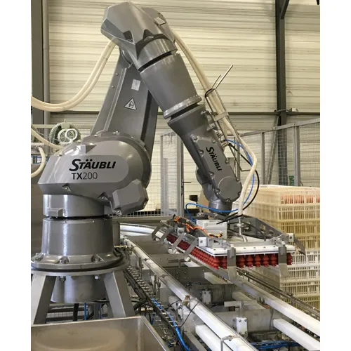 Transfert des oeufs robotisé