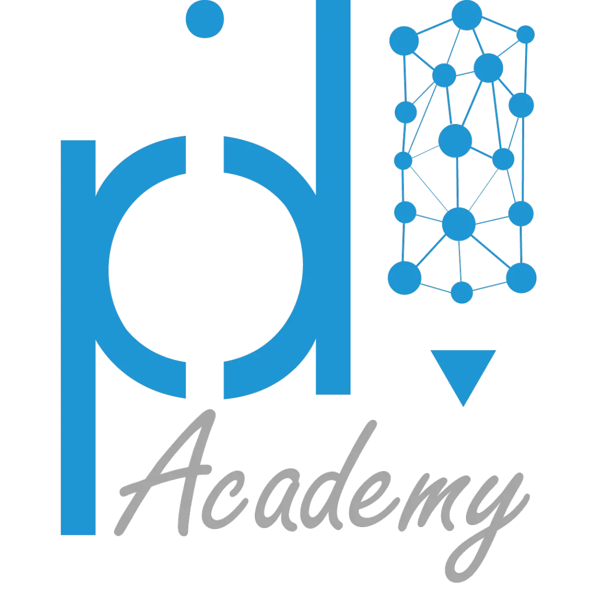 PID ACADEMY